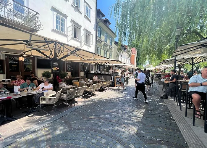 شقة Divine Nest *