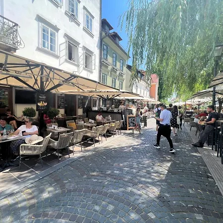 Lejlighed Divine Nest *